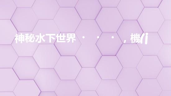 神秘水下世界，機(jī)器人揭開深海寶藏！